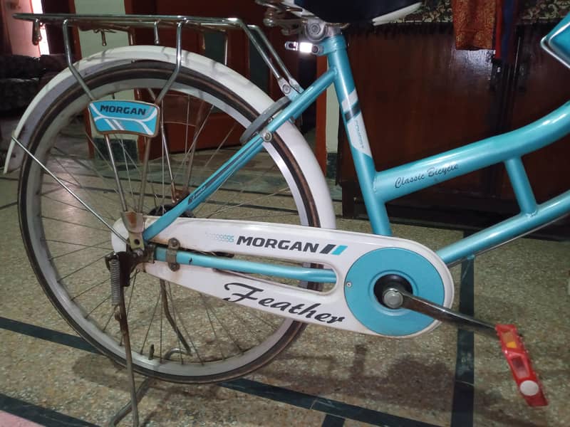 Morgan cycle 1