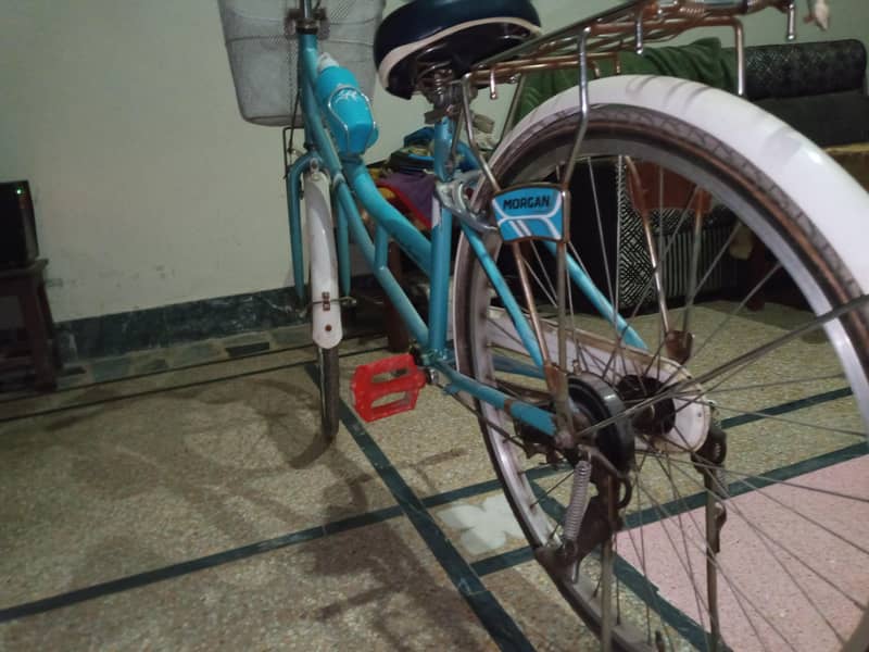 Morgan cycle 3