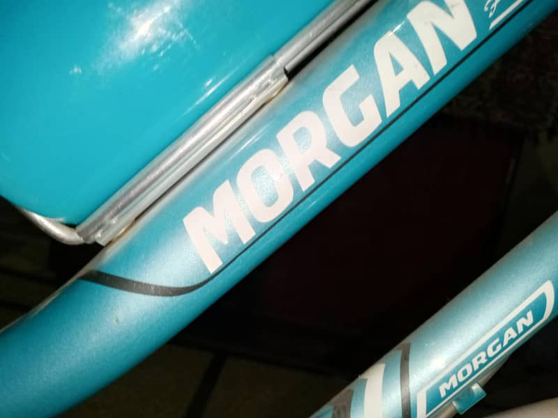 Morgan cycle 6