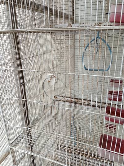 Iron cage