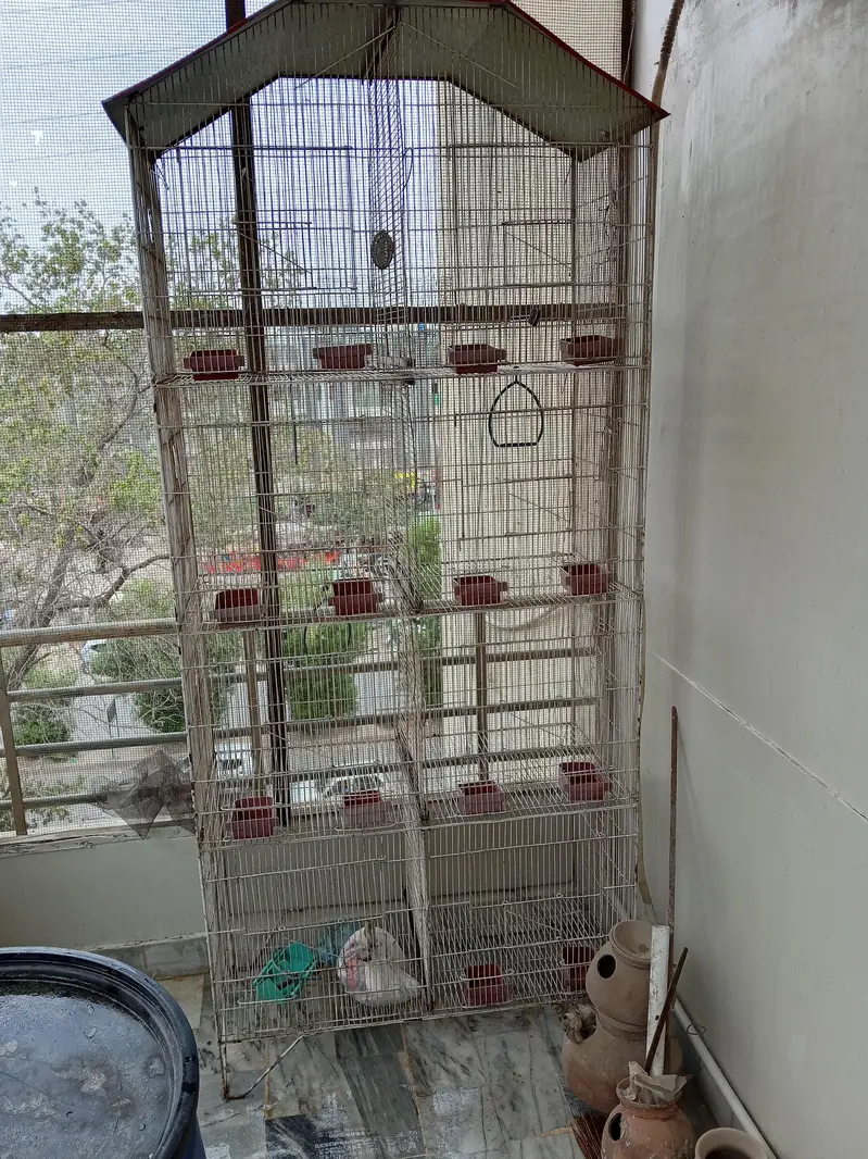 Iron cage — photo 3