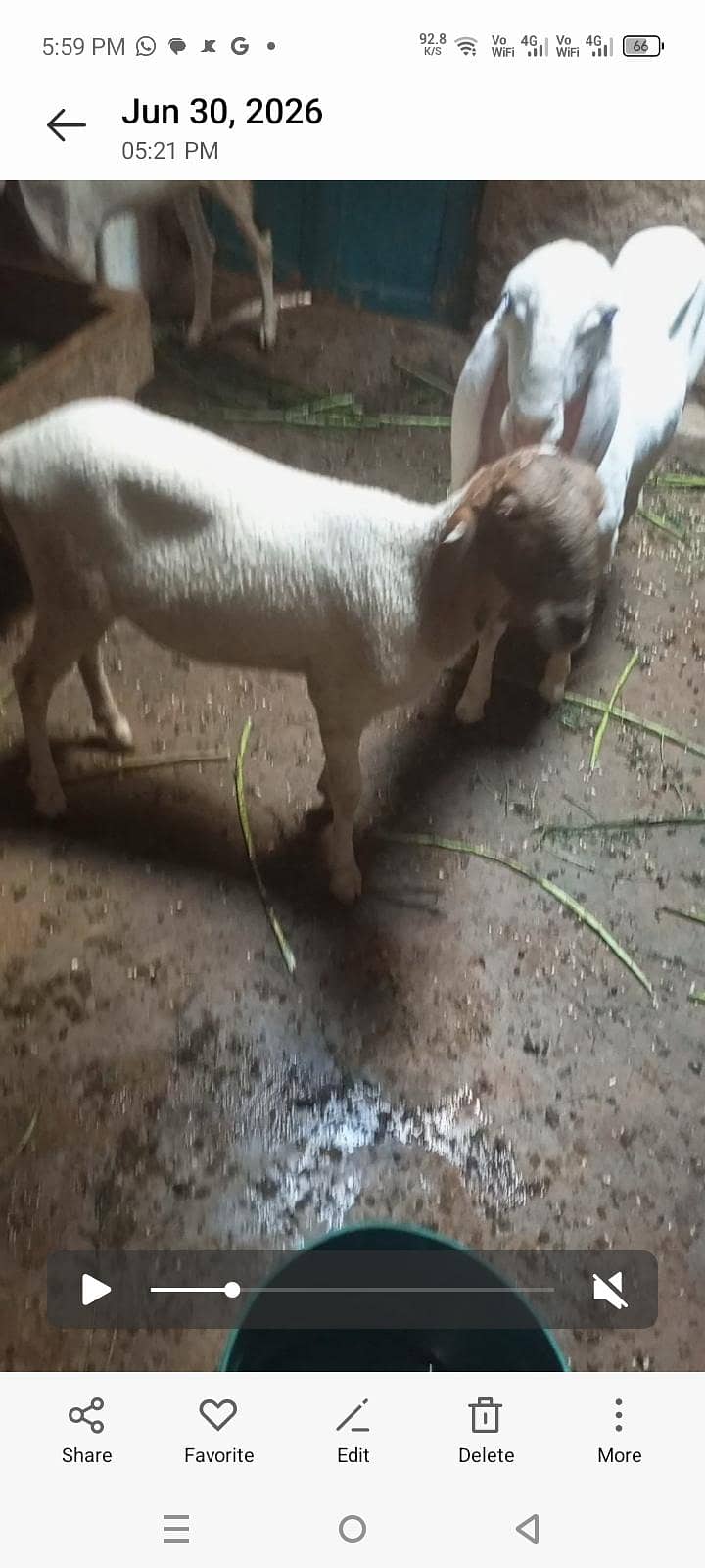 dumba 2