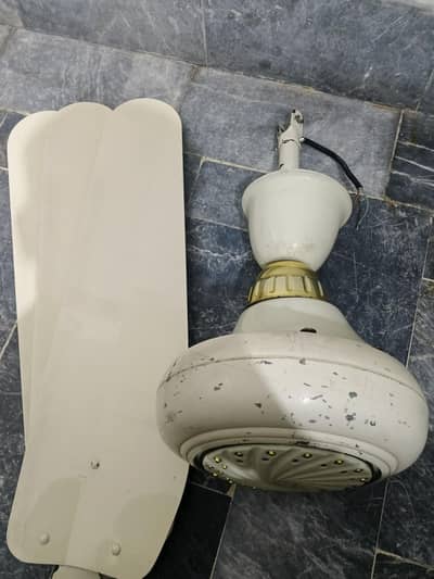 Ceiling Fan