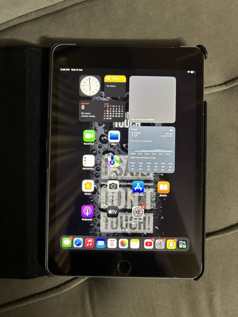 Ipad mini 4 3