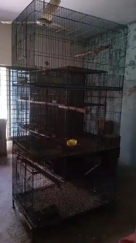 parrots cage 4 cages available for sale all ok good CONDITION — photo 2