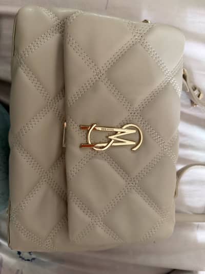 Original Steve Madden bag