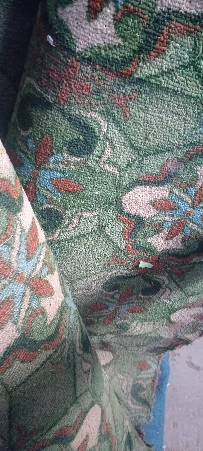 carpet 1