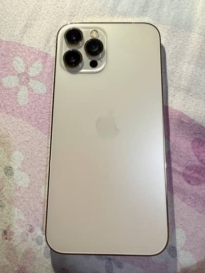 Apple iPhone 12 Pro Max