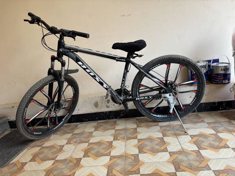 ROXY Bicycle 2
