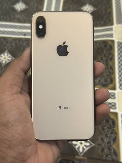 Apple iPhone XS (256gb) water pack