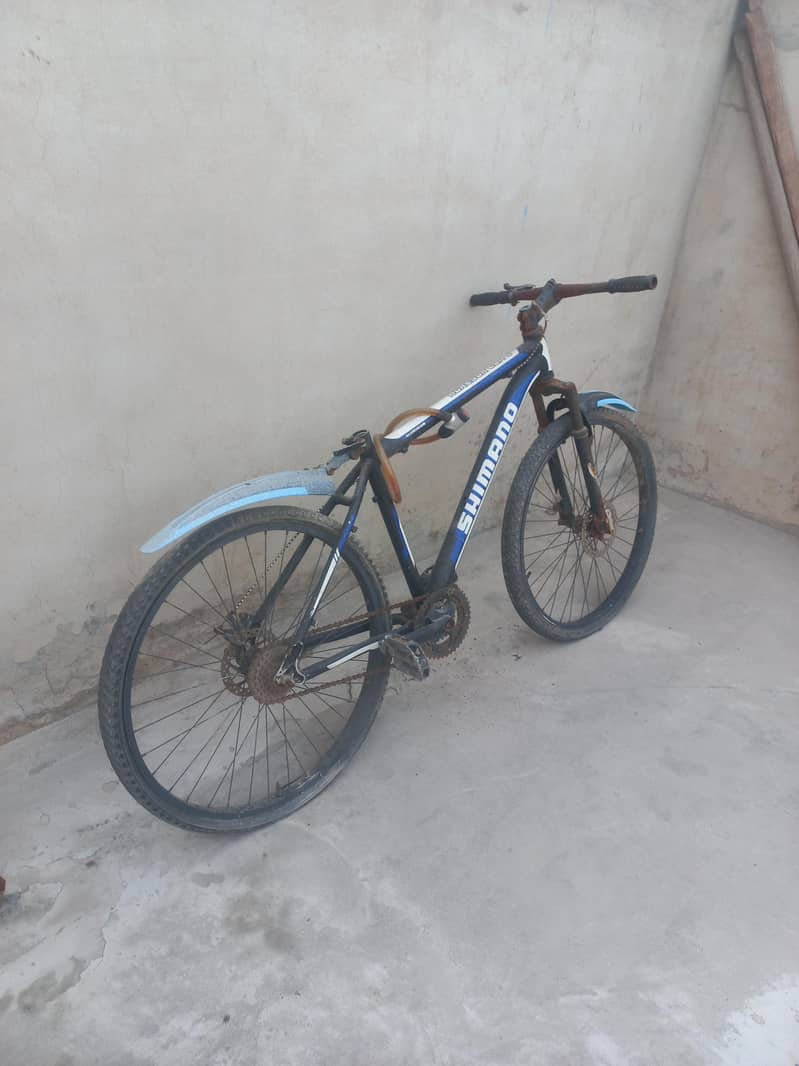 Bicycle 1