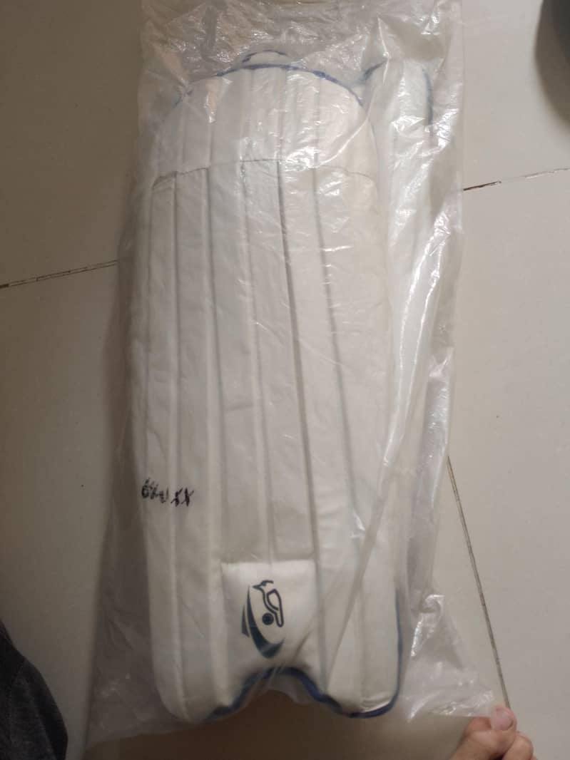 Cricket kit 2