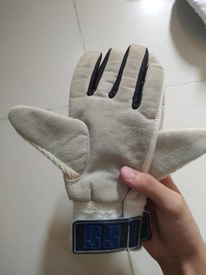 Cricket kit 8
