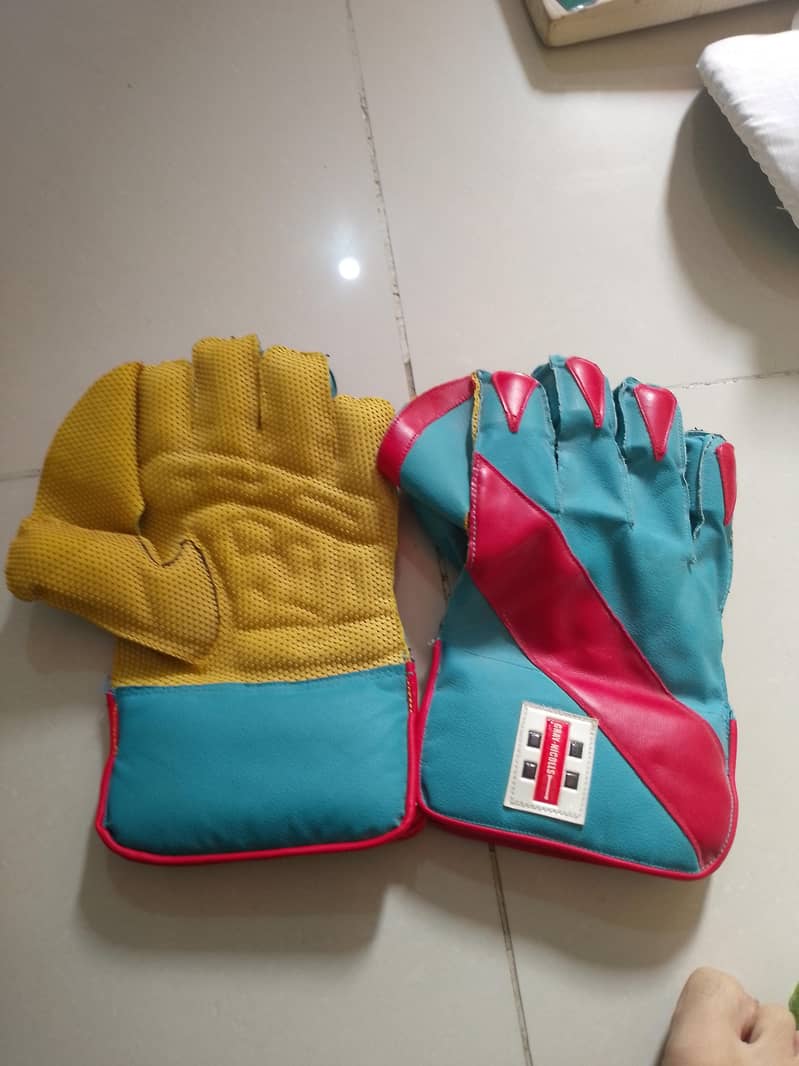Cricket kit 9