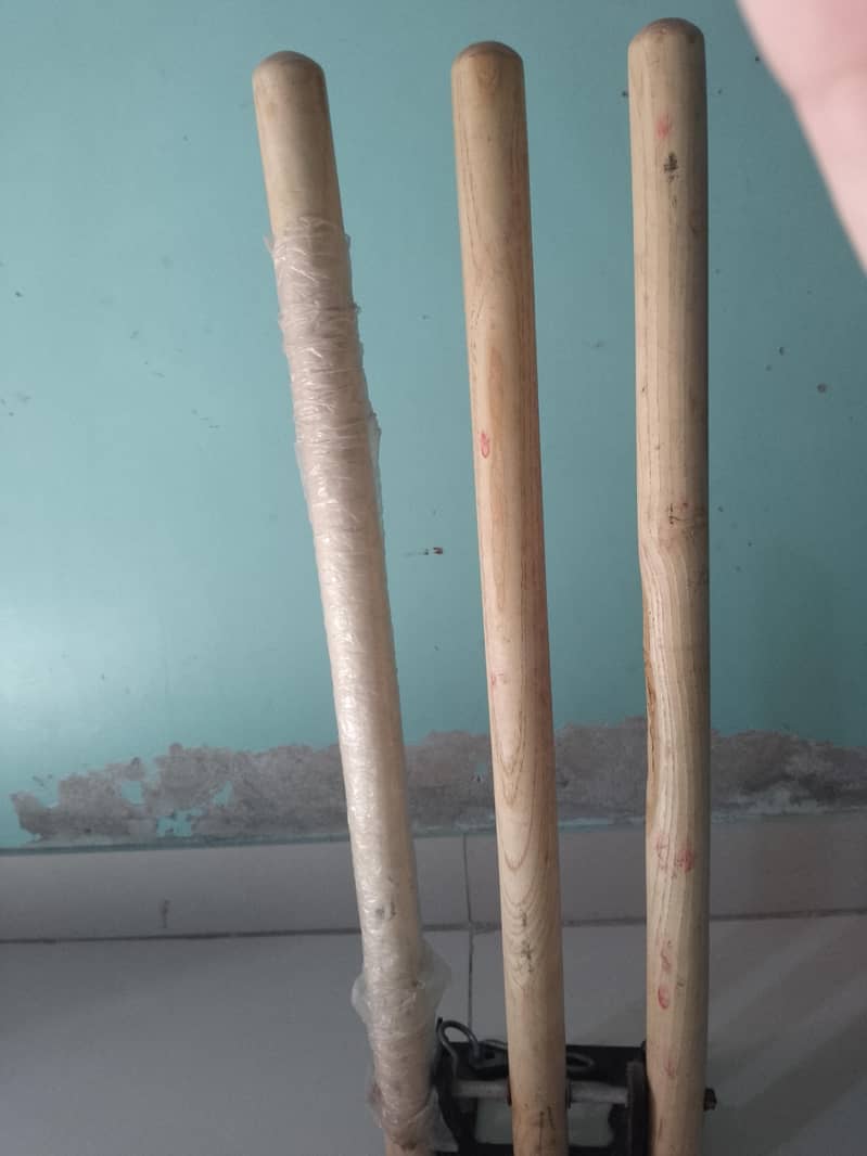 Cricket kit 19