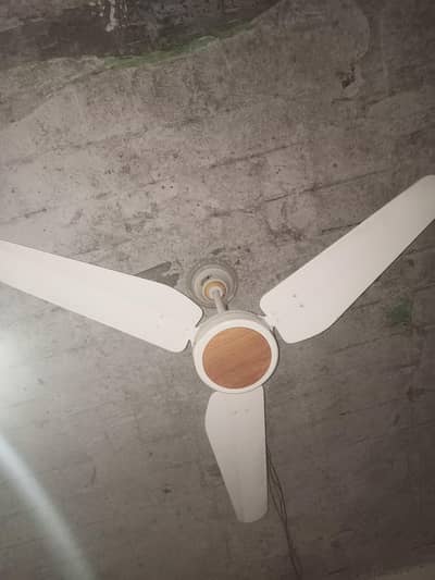Ceiling Fan use condition
