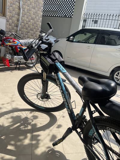 Roadstar bicycle