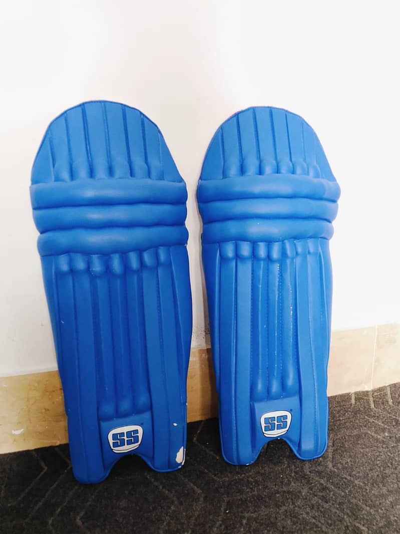 cricket kit 2