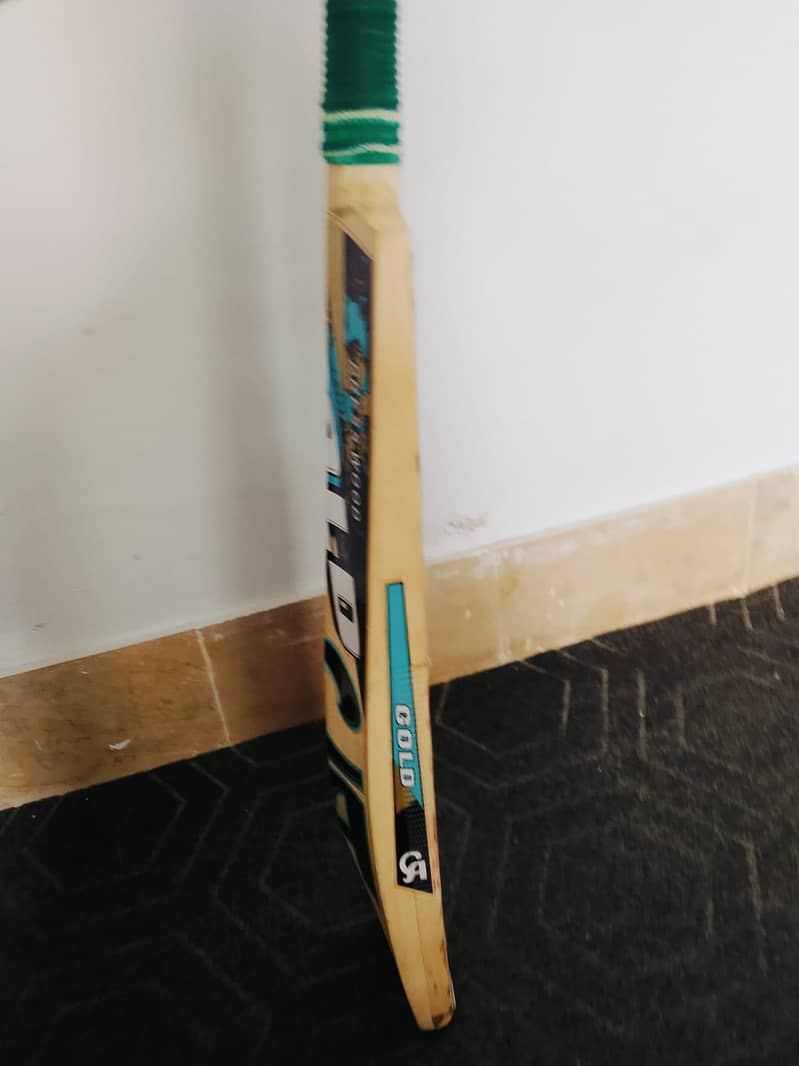 cricket kit 10