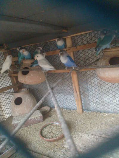 blue personalta
