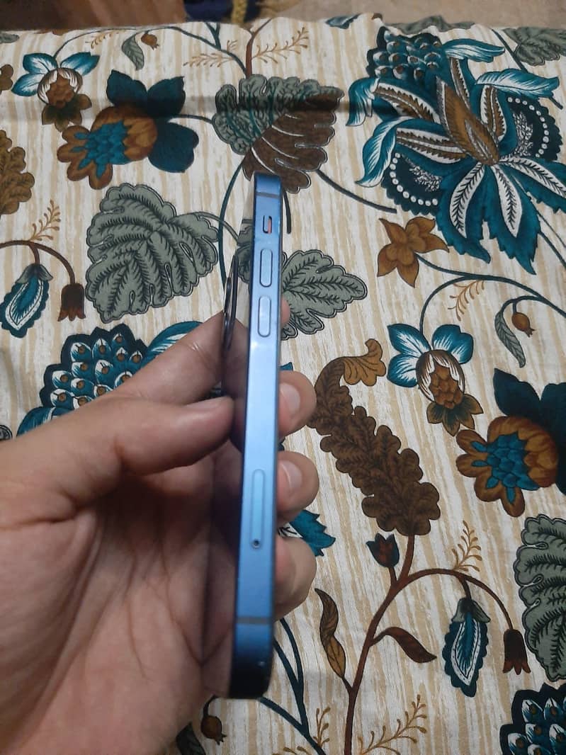 Apple iPhone 12 mini 1