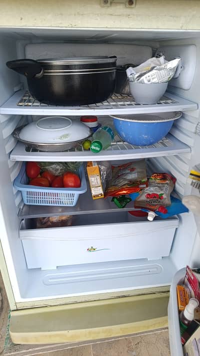 Medium size fridge