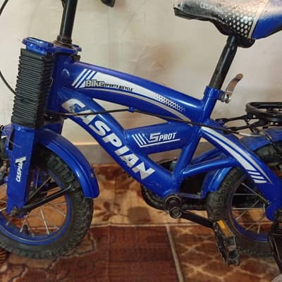 selling bicycle