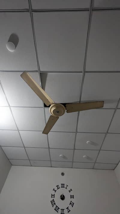 Celling fan