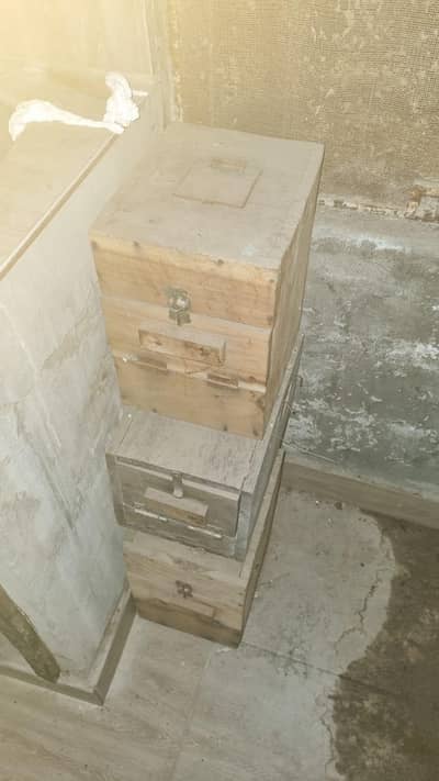Breeding boxes Lovebird and cocktails