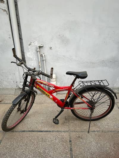 imported chinese bicycle