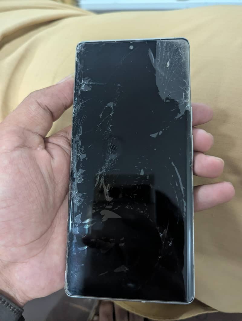 Google Pixel 6 Pro 1