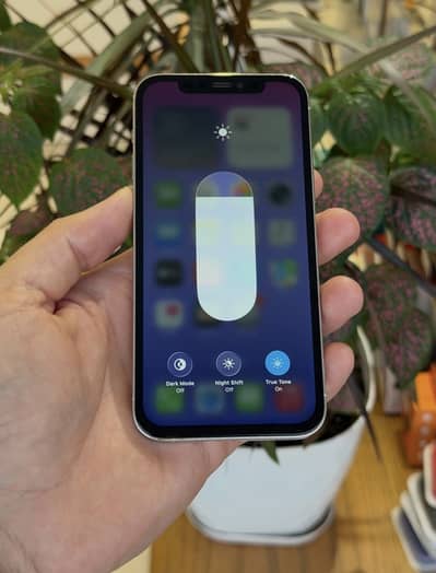 Apple iPhone 12 Pro