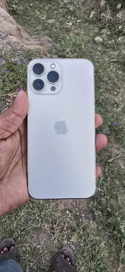 Apple iPhone 13 Pro Max