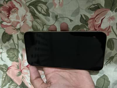 12pro