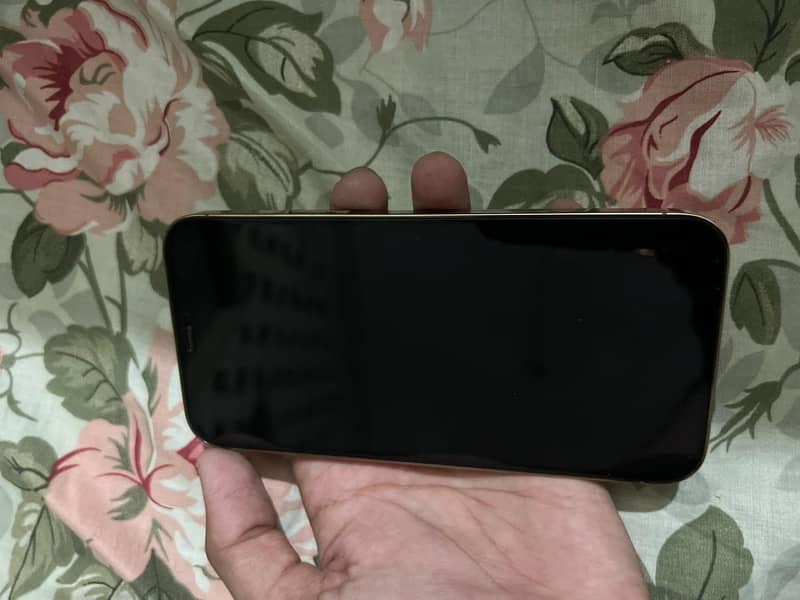 12pro 0