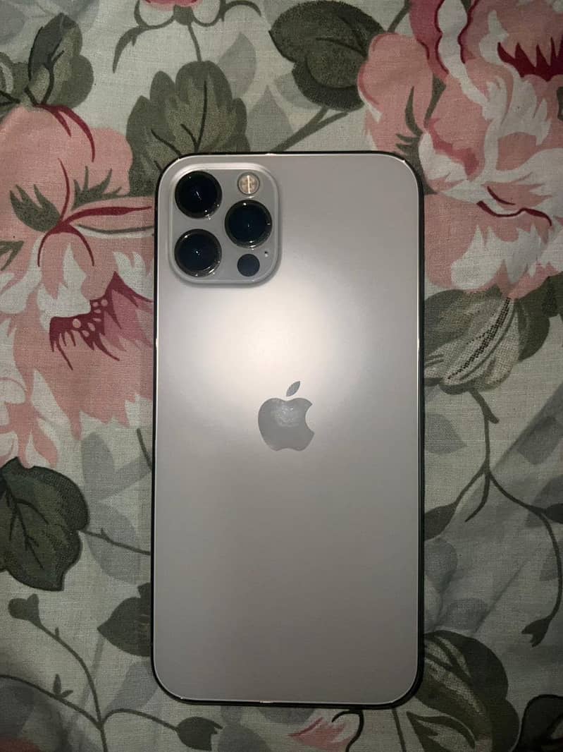 12pro 2