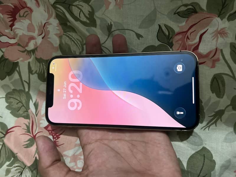 12pro 3