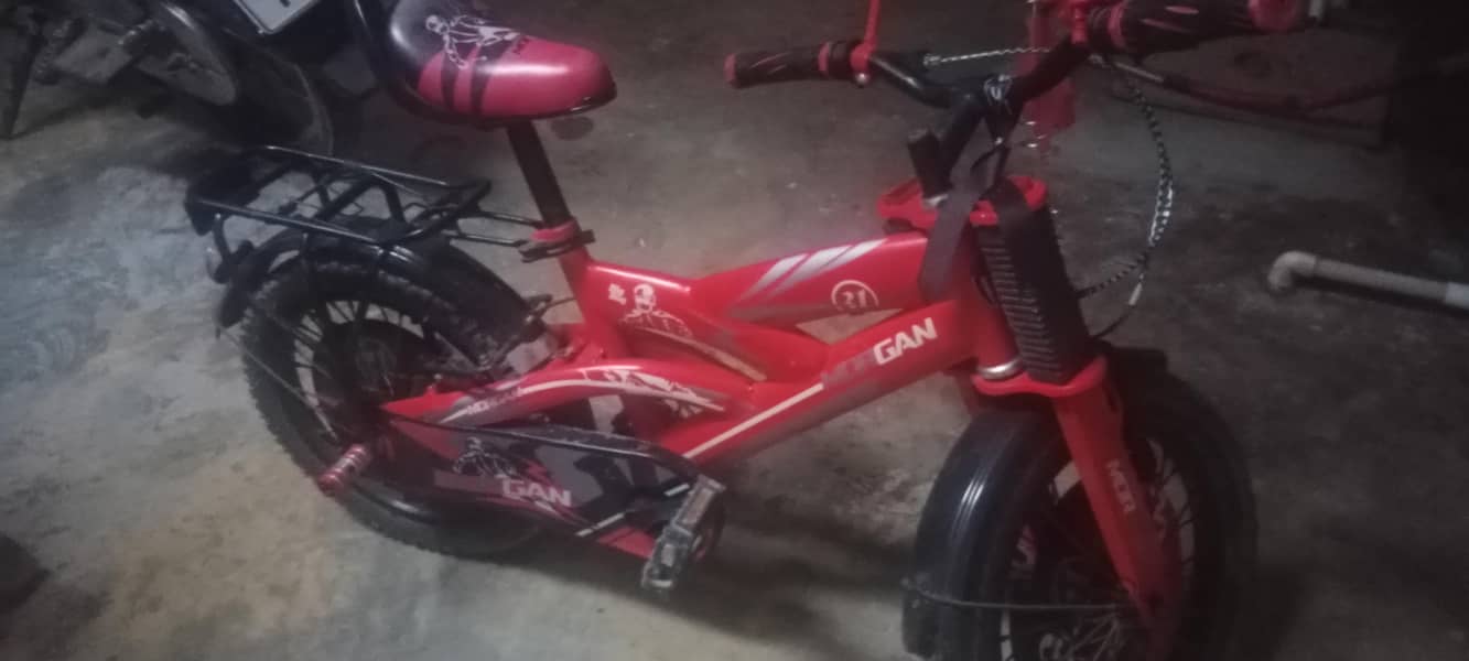 Morgan cycle 0