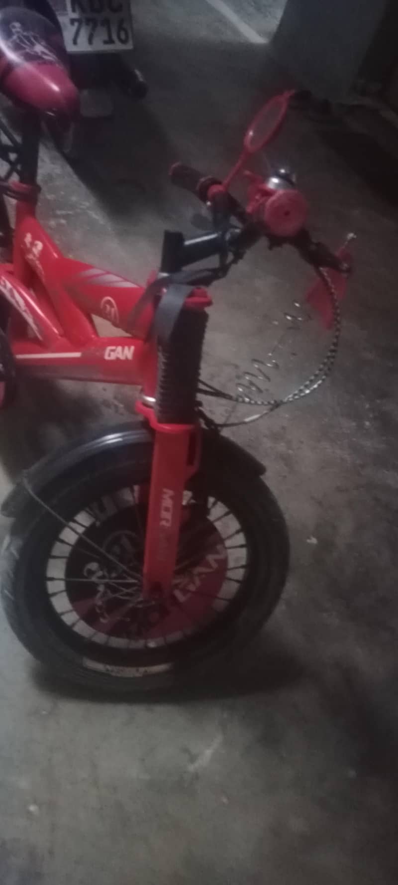 Morgan cycle 1
