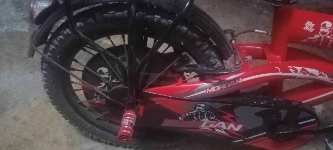 Morgan cycle 2