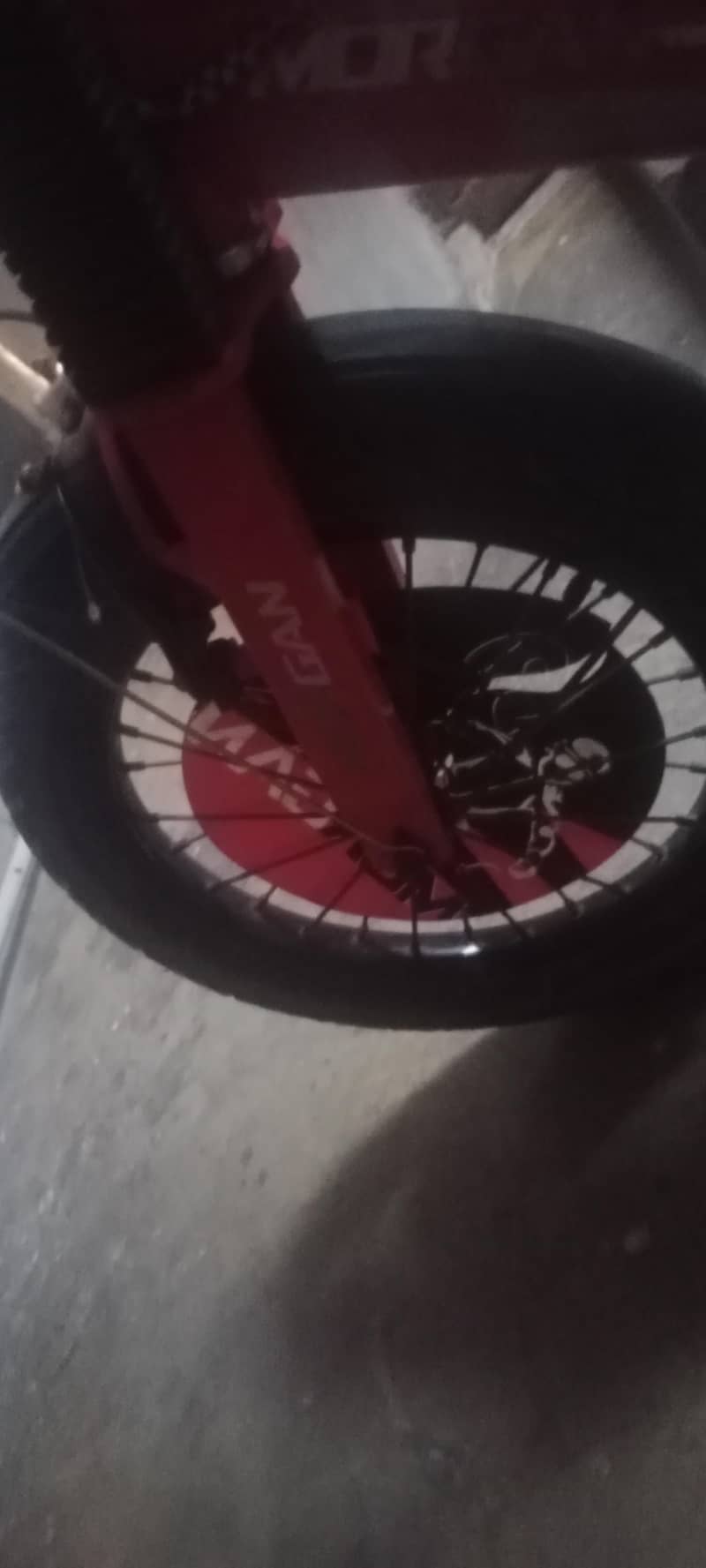 Morgan cycle 3