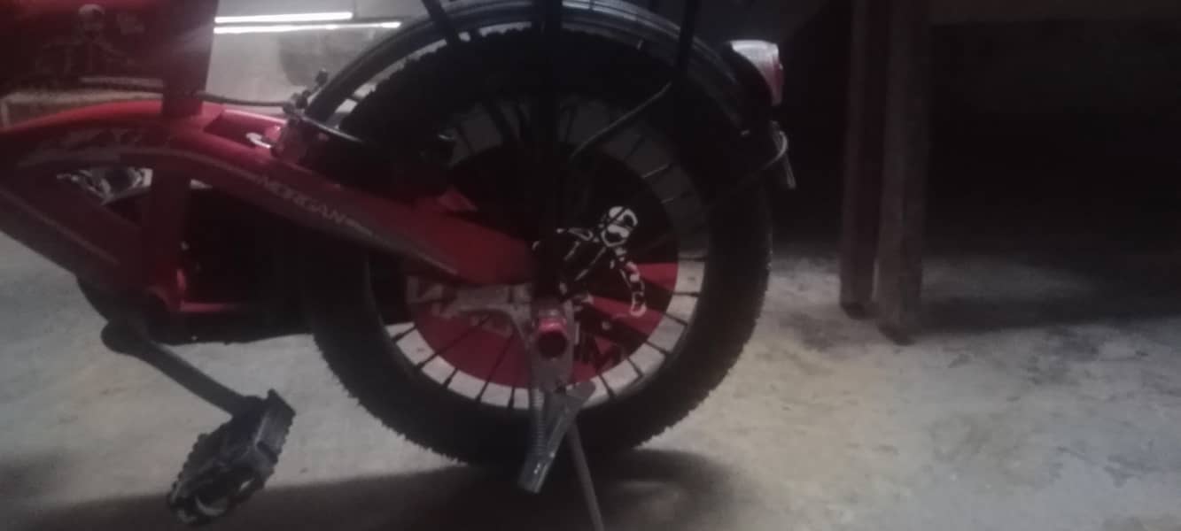 Morgan cycle 5