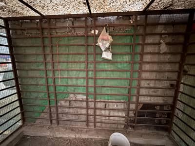 Cage for sale