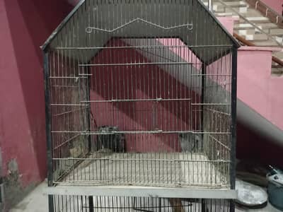 Cage for Parrots
