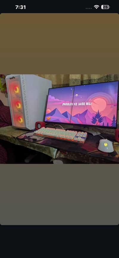 Dell monitor  U2417H 60Hz