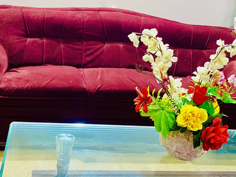 Sofas 6