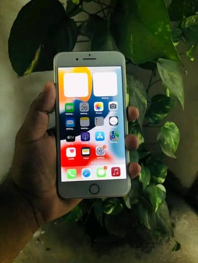 Iphone 7plus PTA approved 128gb My Whatsapp number 0320-19-06-573