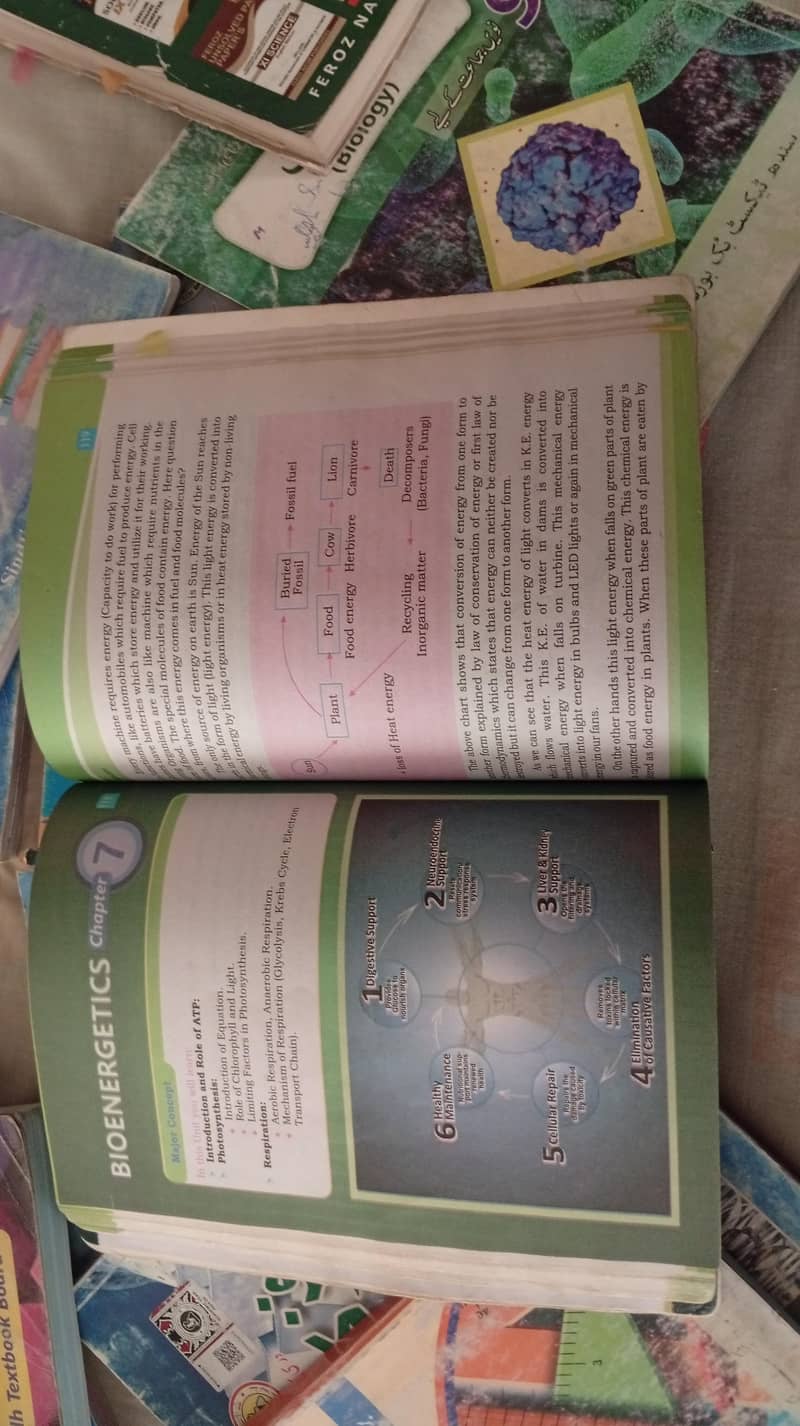 course Books 15