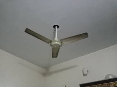 for sell fan