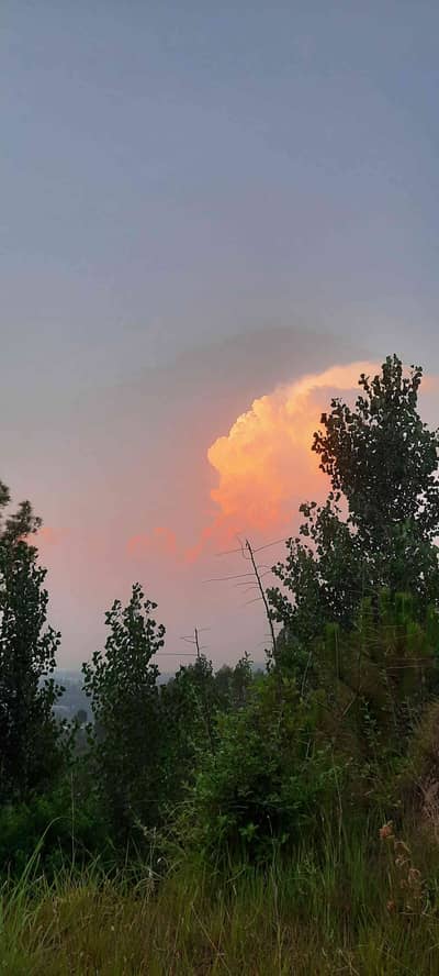 Hayat Khan